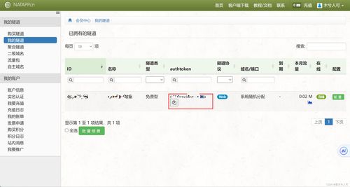 在公司內(nèi)網(wǎng)開(kāi)發(fā)的時(shí)候如何和互聯(lián)網(wǎng)第三方平臺(tái)環(huán)境聯(lián)調(diào)之內(nèi)網(wǎng)穿透
